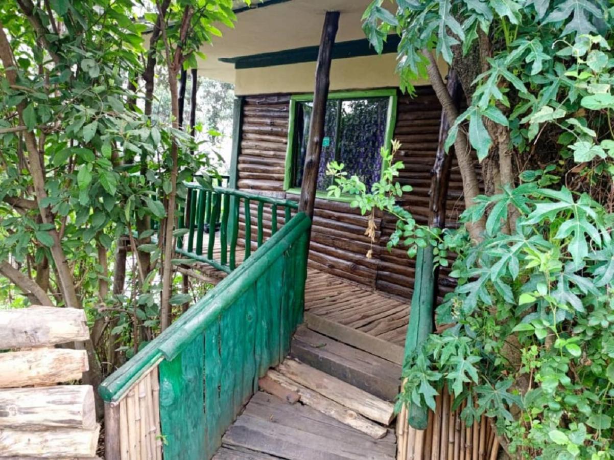 Ruhija Community Rest Camp Bed & Breakfast Kabale Exterior photo