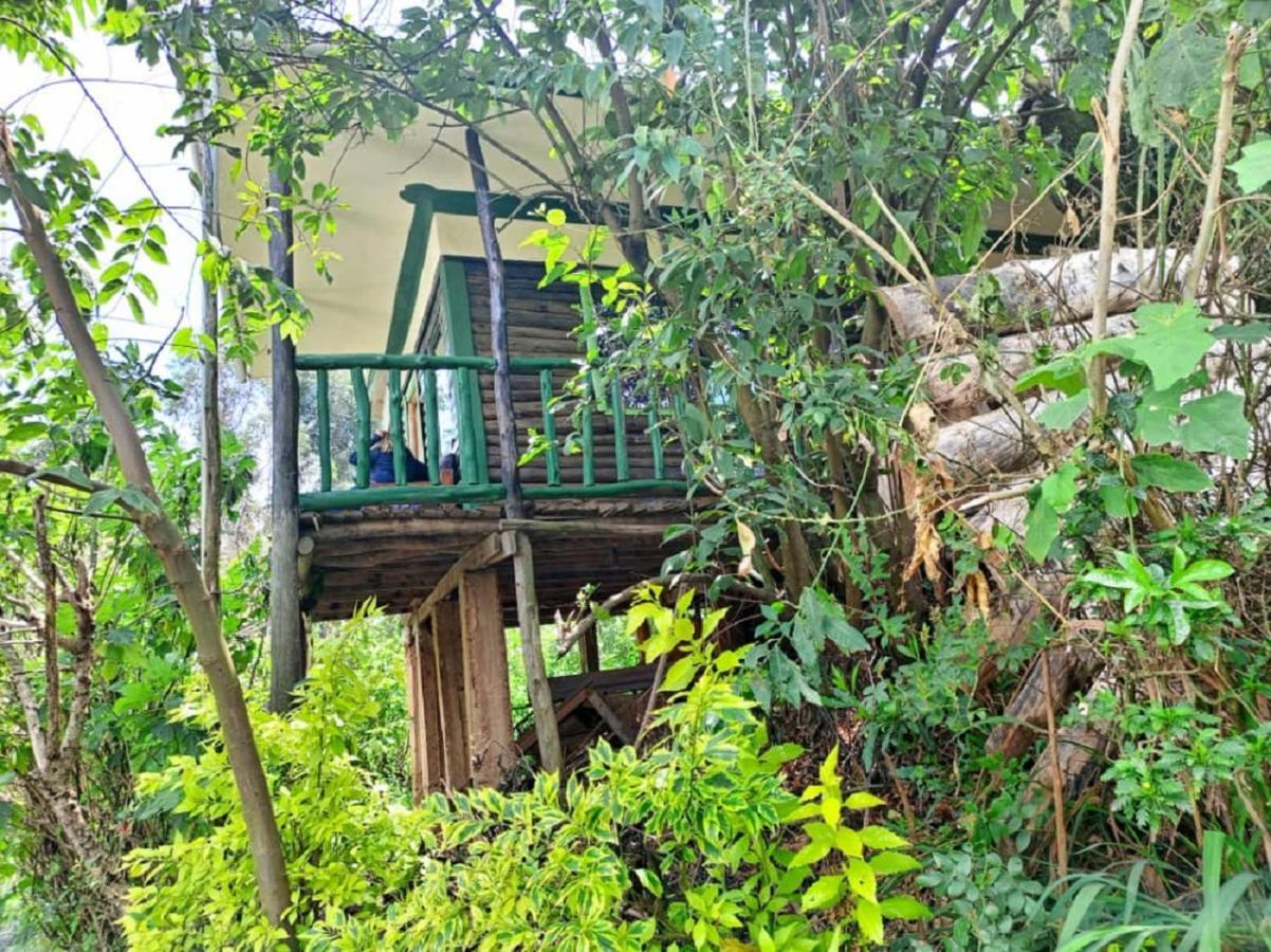 Ruhija Community Rest Camp Bed & Breakfast Kabale Exterior photo